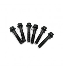 Flange screw 21344756